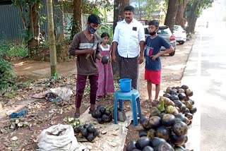 summer trade of ice apple fruit kozhikode  കോഴിക്കോട് പനനൊങ്ക് വിപണി  palm fruit kozhikode  pananonku vipani calicut  പനനൊങ്ക് വാർത്ത  പാലക്കാട് നിന്ന് നൊങ്ക് കോഴിക്കോട്  നൊങ്ക് വിൽപന സജീവം