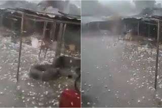 hailstorm Video viral in Rajasthan