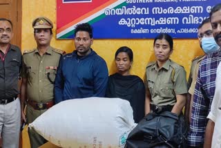 excise seizes 50 kg ganja in palakkad  palakkad ganja seized from ksrtc bus  excise seizes ganja from shalimar express  പാലക്കാട് എക്‌സൈസ് കഞ്ചാവ്‌ പിടികൂടി  ഷാലിമാർ എക്‌സ്‌പ്രസ് കഞ്ചാവ് പിടികൂടി  വാളയാര്‍ കെഎസ്‌ആര്‍ടിസി ബസ് കഞ്ചാവ്