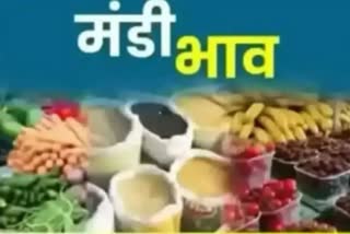 etv bharat