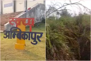 Medicine being made from lemon grass crop in Ambikapur