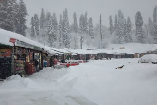 Shimla witnesses outpouring snowfall