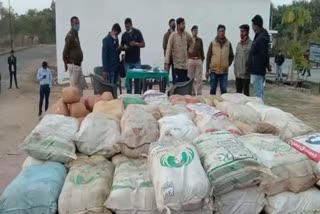 smuggling under guise of cabbage in Balrampur