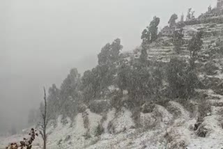 snowfall in Dhanaulti mussoorie