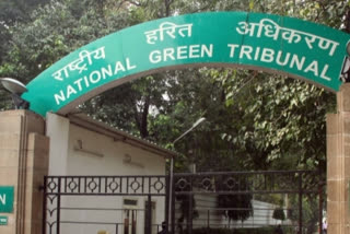 NGT asks joint committee to look into illegal construction in Greater Noida