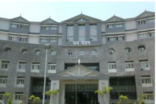 forest department