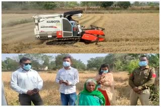 Paddy crop harvested in presence of police