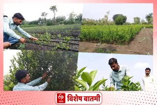 Farmer Success Story