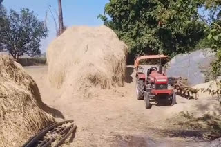 Balrampur Paddy Purchased