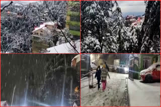 fresh snowfall in shimla