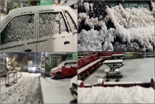 snowfall in shimla