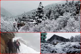 HEAVY SNOWFALL IN KINNAUR