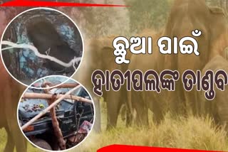 କୂଅ ଭିତରେ ଛୁଆ ହାତୀ , ରାତିସାରା ତାଣ୍ଡବ କଲେ ହାତୀପଲ