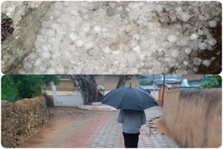 Rain and hailstorm in Madhya Pradesh