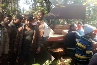 Forest wood smuggling in Balrampur