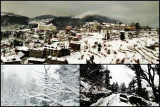 Snowfall Continues in Mandi