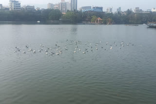 Thane Water Cut