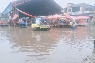 Ballabhgarh vegetable market