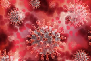 ملک میں کورونا وائرس کے مزید ایک لاکھ  79 ہزار سے زائد نئے کیسز درج