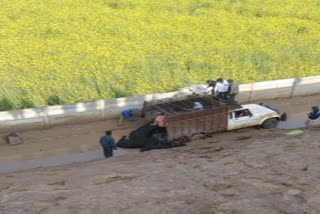 Cow Smuggling in Alwar, Alwar latest news