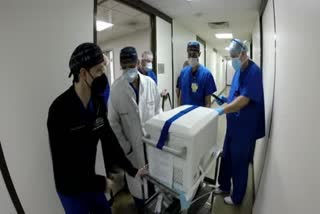 US doctors transplant pig heart into human