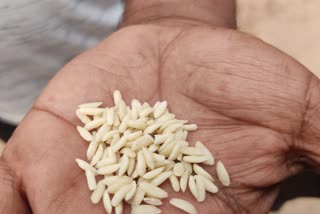 Plastic Rice In Bankura