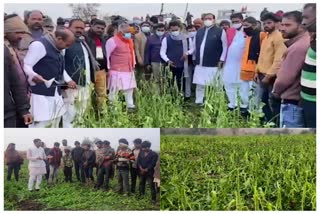 Minister taking stock of crop destruction