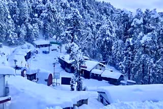 heavy snowfall in Mini Switzerland Chopta