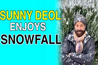 Sunny Deol enjoys snowfall in Manali