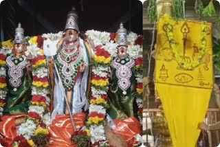 பழனியில் தைப்பூசத் திருவிழா கொடியேற்றத்துடன் தொடங்கியது , palani murugan temple Thaipusam festival celebration begins