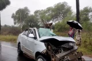 severe road accident on kalahandi national highway