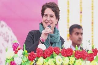 Priyanka Gandhi Birthday : પ્રિયંકા ગાંધી આજે 50મો જન્મદિવસ પરિવાર સાથે રણથંભોરમાં ઉજવશે