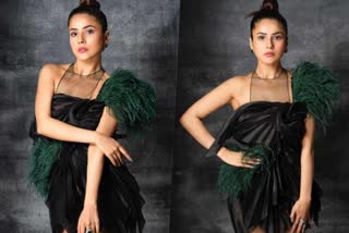 shehnaaz gill photoshoot