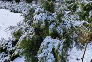 snowfall in mussoorie