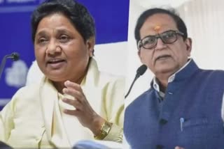 UP Assembly Election 2022 : BSP માયાવતીના જન્મદિવસ પર ઉમેદવારની જાહેરાત કરશે