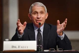 anthony fauci news