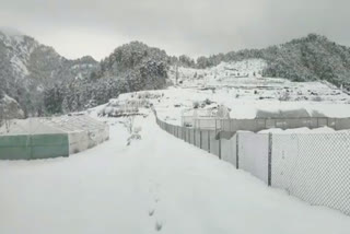 dhanaulti snowfall video