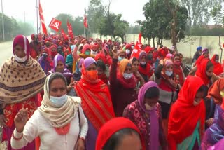 anganwadi-workers-protest-in-sirsa