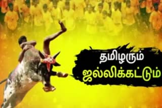 Jallikattu