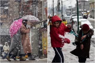 Kashmir The Winter Wonderland  pictures of snowfall in kashmir  beauty of India  travel india  India tourism  incredible india pictures  മഞ്ഞ് പെയ്യുന്ന കശ്‌മീർ  കശ്‌മീർ ടൂറിസം  ശ്രീനഗറിൽ മഞ്ഞ് വീഴ്‌ച  മഞ്ഞ് മൂടിയ കശ്‌മീർ