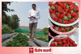 Strawberry In Pune