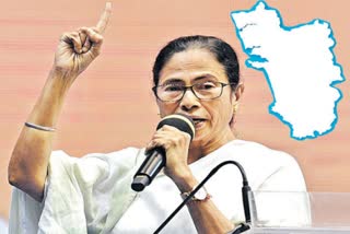 tmc goa elections