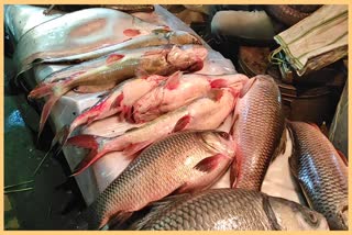 fish-market-on-bhogali-uruka-at-sulung-bazar-kaliabor