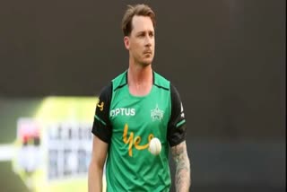 dale steyn