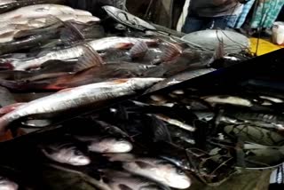 fish-market-of-goroimari-chaigaon-in-the-ocassion-of-bhogali-bihu