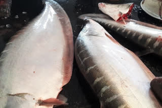 Uruka fish market at Tezpur