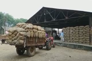 Employees engaged in buying paddy in Bilaspur