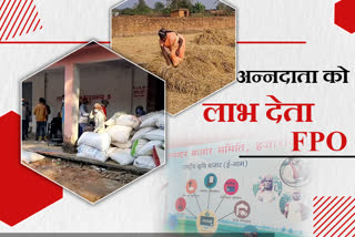paddy-purchase-through-fpo-in-hazaribag