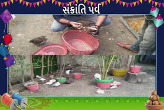Jamnagar Bird Lover Youth : પક્ષીપ્રેમી આશિષ માડમે પોતાના ઘરને બનાવ્યું પક્ષી ઘર