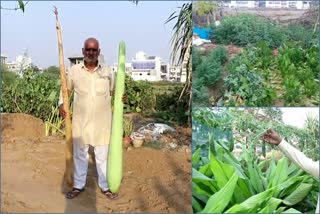organic farming in Kurukshetra